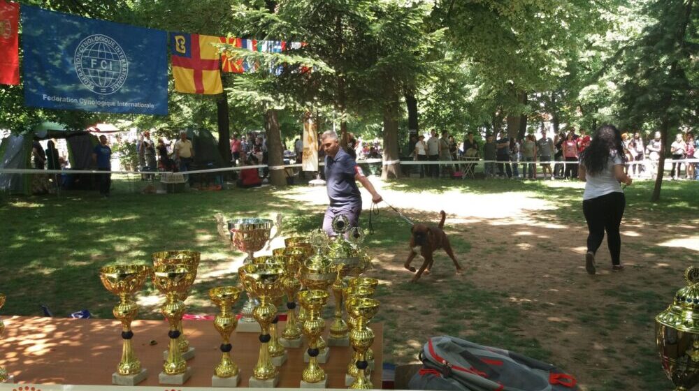 Vranje: U nedelju Međunarodna izložba pasa 1