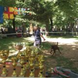 Vranje: U nedelju Međunarodna izložba pasa 2