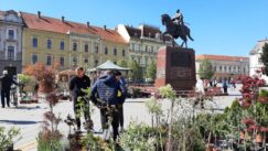 Zrenjanin danas u znaku cveća, na gradskom trgu počela Cvetna pijaca (FOTO) 2