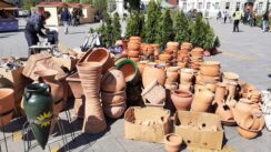 Zrenjanin danas u znaku cveća, na gradskom trgu počela Cvetna pijaca (FOTO) 5