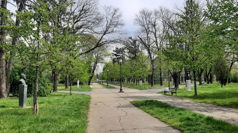 Zrenjaninu 3,5 miliona da uredi Karađorđev park 1