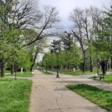 Zrenjaninu 3,5 miliona da uredi Karađorđev park 14