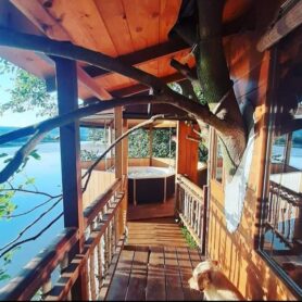 Ima i onih koji će prvomajske praznike provesti na drvetu 6