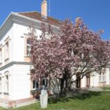 U susret Dana grada Šapca danas se otvara izložba "Moj Šabac" 11