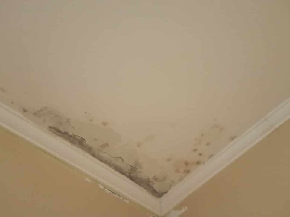 Muke stanara iz Subotice: Upravnik bez licence preuzeo kontrolu nad zgradom 2 Muke stanara iz Subotice: Upravnik bez licence preuzeo kontrolu nad zgradom 2