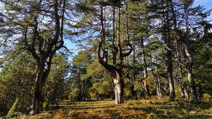 Gde će Užičani za prvomajske praznike: Uranak na skrivenim mestima 4 Gde će Užičani za prvomajske praznike: Uranak na skrivenim mestima 4