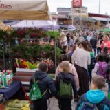 Počela druga prolećna Novosadska cvetna pijaca 4