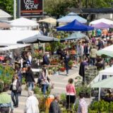 Novosadska cvetna pijaca u petak i subotu 3