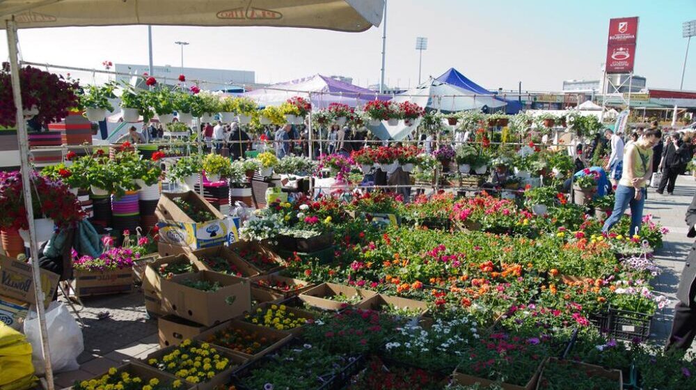 Jesenja cvetna pijaca danas i sutra na platou ispred SPENS-a 1