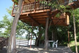 Ima i onih koji će prvomajske praznike provesti na drvetu 3