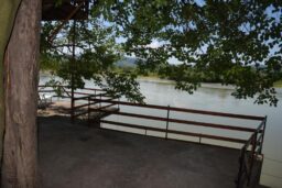 Ima i onih koji će prvomajske praznike provesti na drvetu 4