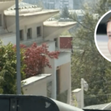 Da li je vlast mogla politički da kalkuliše hapšenjem Šarića? 10