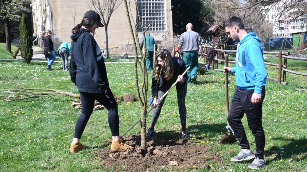 Akcija pošumljavanja SBB fondacije na Šumarskom fakultetu u Beogradu 1
