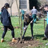 Akcija pošumljavanja SBB fondacije na Šumarskom fakultetu u Beogradu 15