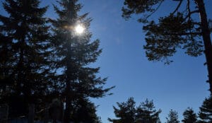 Uspostaviti namensko i transparentno trošenje fonda za šume u budžetu Užica 4 Uspostaviti namensko i transparentno trošenje fonda za šume u budžetu Užica 4