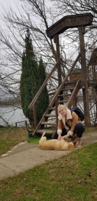 Ima i onih koji će prvomajske praznike provesti na drvetu 10