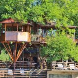 Ima i onih koji će prvomajske praznike provesti na drvetu 4