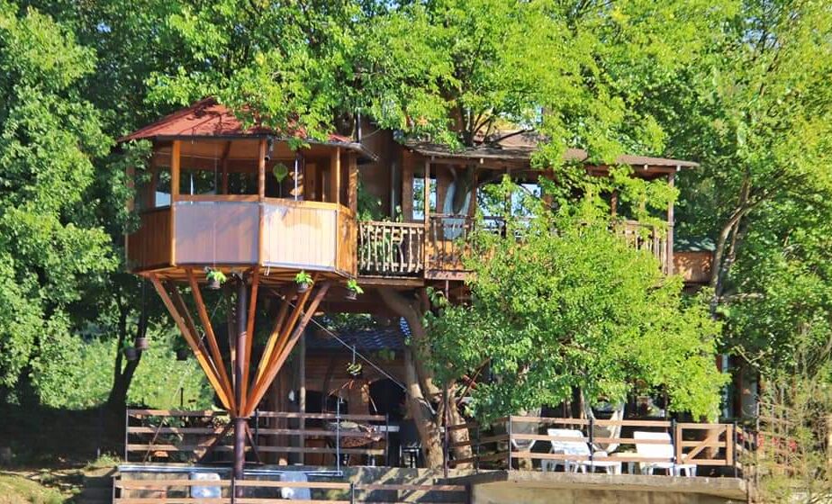 Ima i onih koji će prvomajske praznike provesti na drvetu 1