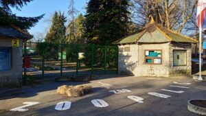 „Uginuli tigrovi, leopardi, medvedi“: Deo zaposlenih u ZOO-vrtu „Palić“ izneo optužbe, šta kažu uprava i veterinar?