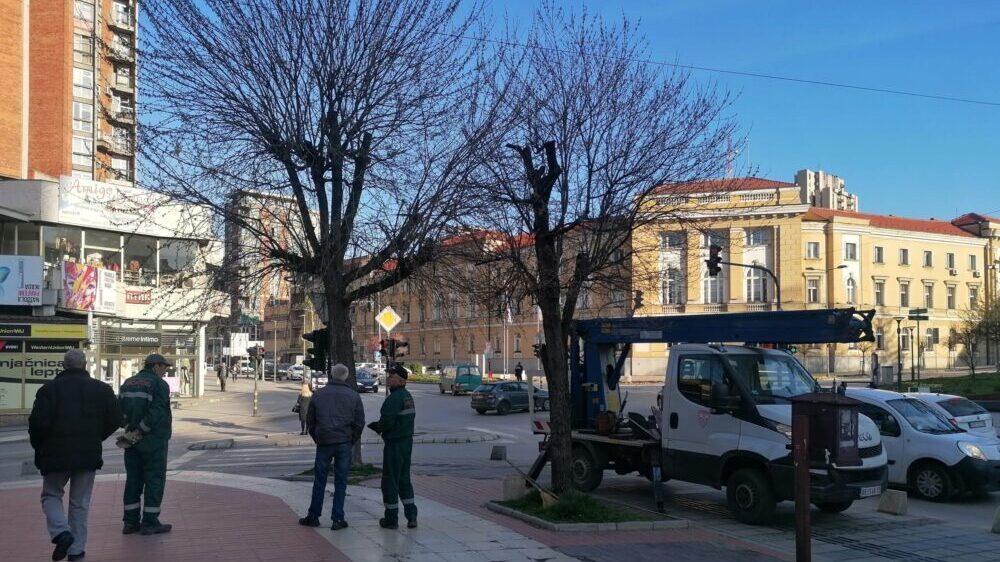 Psi lutalice otežavaju rad „Zelenila“ 2