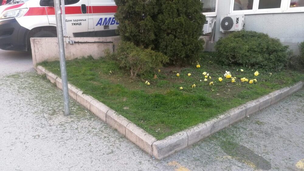 Psi lutalice otežavaju rad „Zelenila“ 3