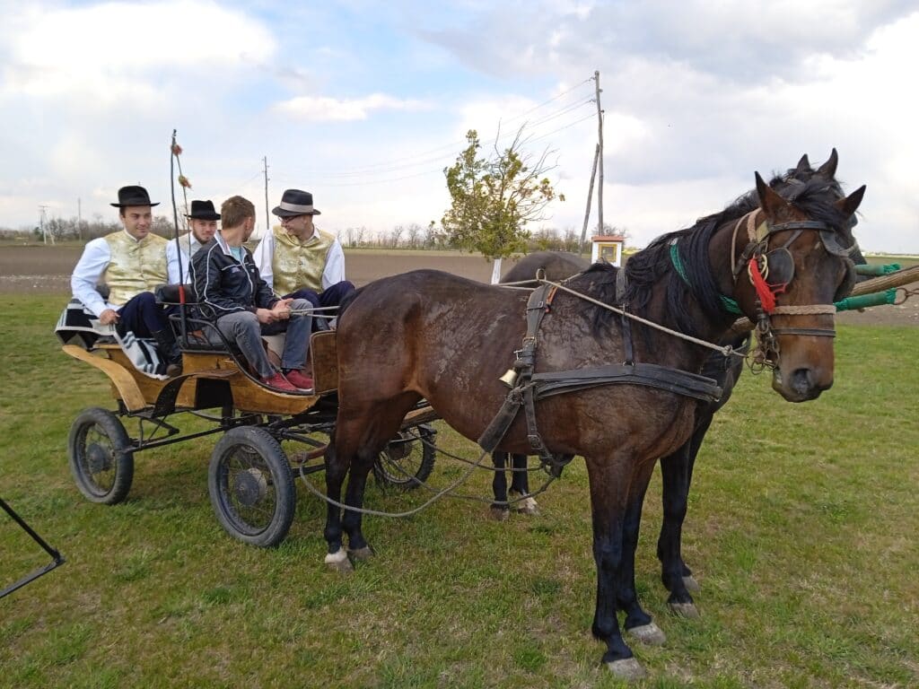 Stigli momci da vodom polivaju devojke: Stari bunjevački običaji ili Vodeni ponedeljak na subotičkom salašu 4 Stigli momci da vodom polivaju devojke: Stari bunjevački običaji ili Vodeni ponedeljak na subotičkom salašu 4