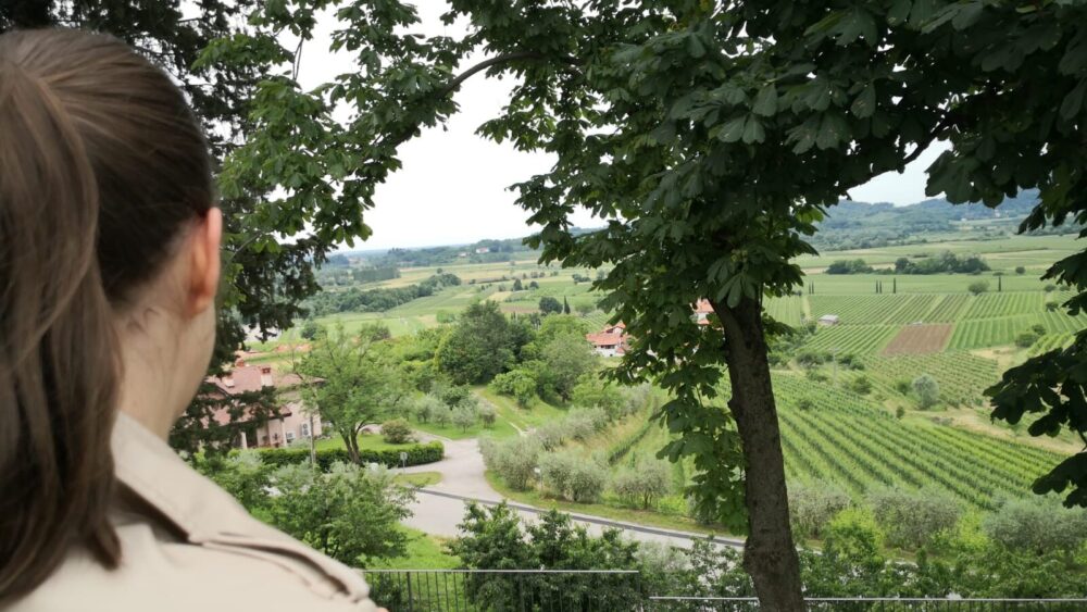 Svakog dana se budim sa željom da se vratim u Beograd, jer kuća je kuća 6