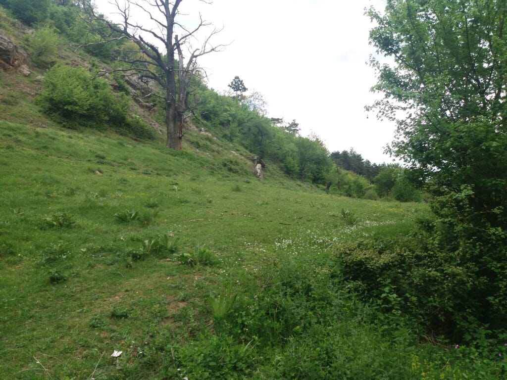 Niko ne brine o vranjskim izletištima, za 1. maj ih posećuje sve manje ljudi 4