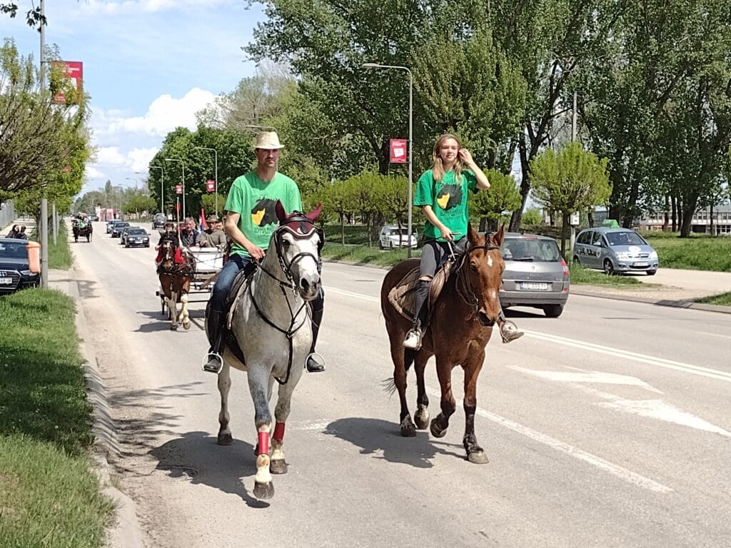 Kragujevačka uskršnja fiajkerijada: Konji koji stvarno nikuda ne žure 2