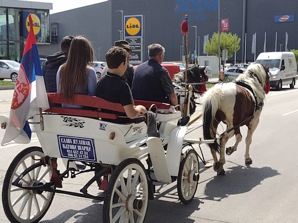 Kragujevačka uskršnja fiajkerijada: Konji koji stvarno nikuda ne žure 3