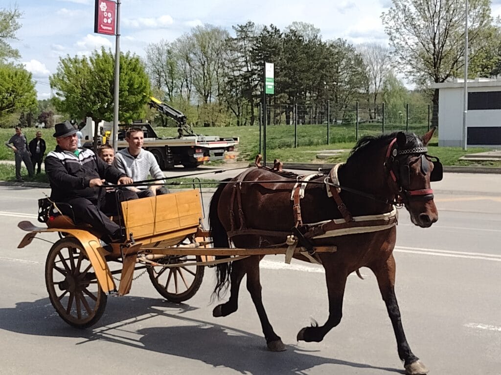 Kragujevačka uskršnja fiajkerijada: Konji koji stvarno nikuda ne žure 4