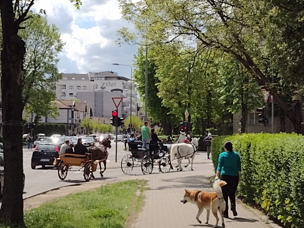 Kragujevačka uskršnja fiajkerijada: Konji koji stvarno nikuda ne žure 5
