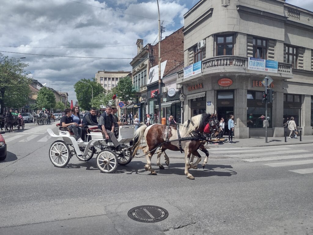 Kragujevačka uskršnja fiajkerijada: Konji koji stvarno nikuda ne žure 6