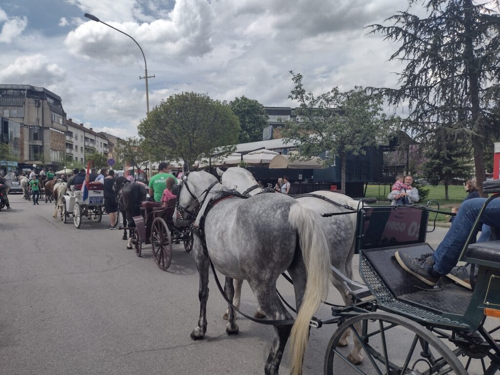 Kragujevačka uskršnja fiajkerijada: Konji koji stvarno nikuda ne žure 7