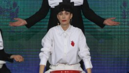 Konstrakta o napadima: Stočić je samo stočić, ne izražava moje stavove 8