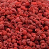 Proizvođači malina: Zasadi u lošem stanju, kilogram će koštati od 600 do 800 dinara 1