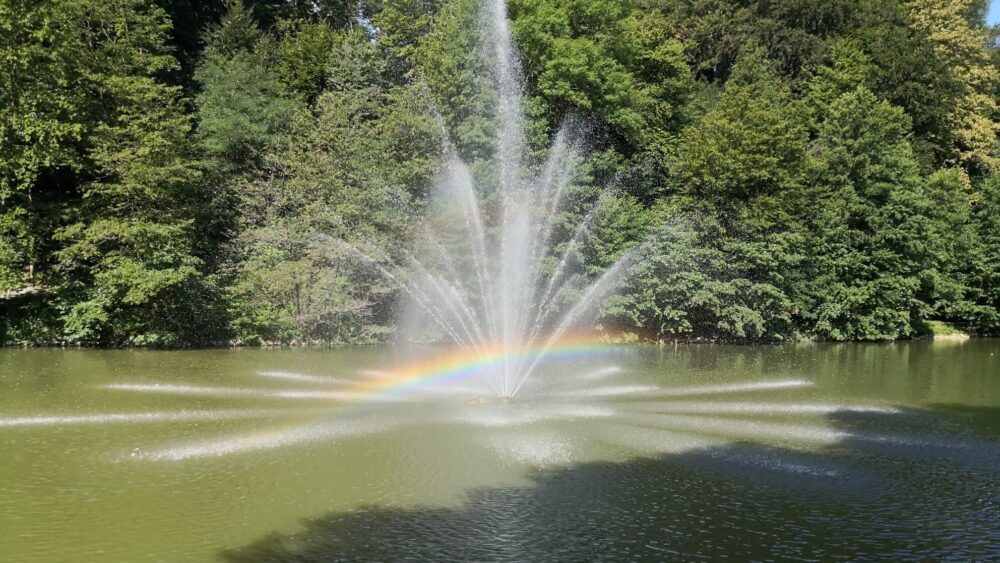 Svakog dana se budim sa željom da se vratim u Beograd, jer kuća je kuća 7