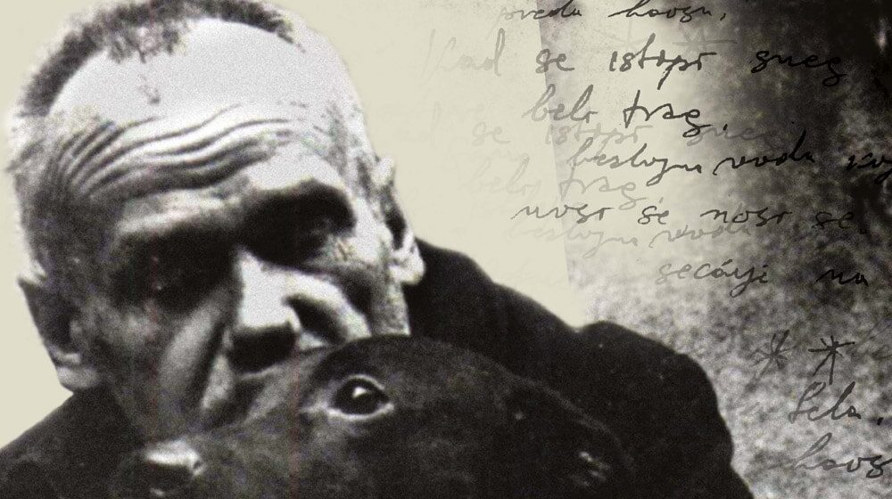 Izložba o životu i delu Miše Stanisavljevića u Srednjoj Dobrinji 1