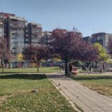 U Kragujevcu kreće prinudna naplata dugova 7