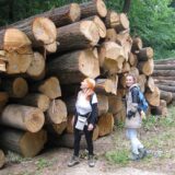 Sečom zaštićene šume isplaćuju plate 15