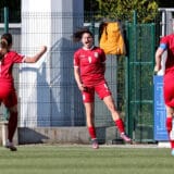 Damnjanovićeva je srpski Drogba 9