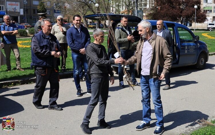 Kragujevac dobio 600 sadnica platana u okviru akcije „Posadi svoj hlad” 1