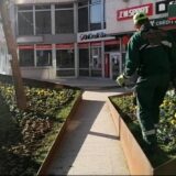 Psi lutalice otežavaju rad „Zelenila“ 12