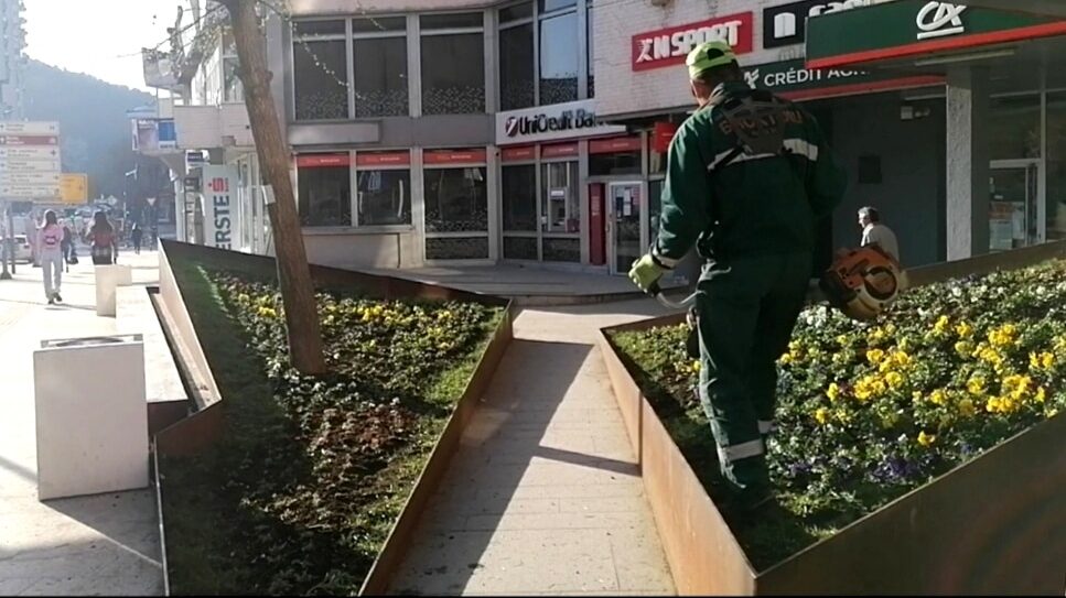 Psi lutalice otežavaju rad „Zelenila“ 1