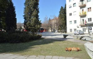 U Užicu i Sevojnu oko 1.800 birača manje nego na ranijim izborima 2