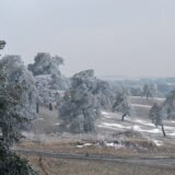 Novi sneg u zapadnoj Srbiji 7