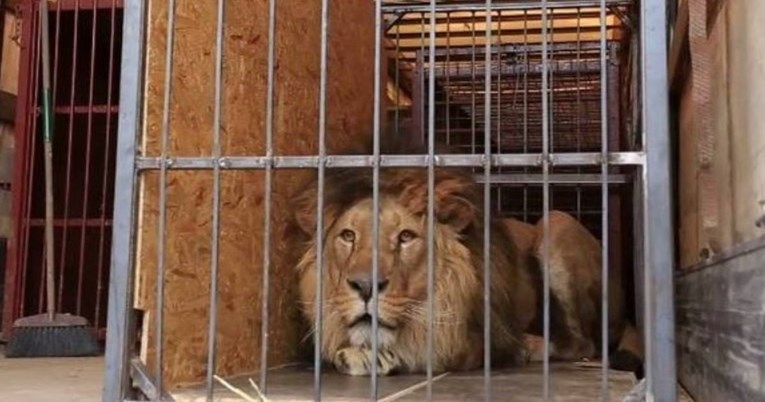 Ostali u zoološkom vrtu u Harkovu da hrane životinje, Rusi ih ubili 1