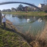 "Sa sinom čistim smeće sa obale jer tu baca ko šta stigne": Tužna sudbina tri zrenjaninska jezera o kojima niko ne vodi računa 1