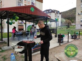 Mladi iz naselja Delijski vis uređuju i oplemenjuju Niš 2