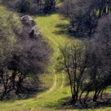 "Štapacirung" na Fruškoj gori u subotu 5